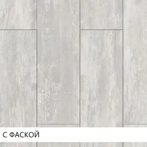 240564-800x800