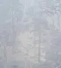 УА-00041462