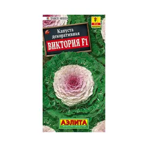 cvkapusta-dekorviktorija-f1-ajelita-800x800