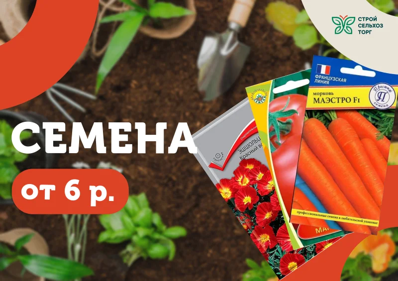 Семена
