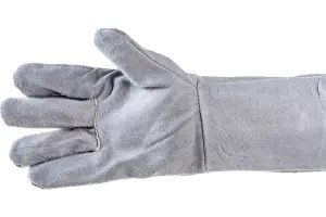 64243315.1200x800