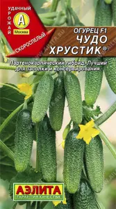 Огурец Чудо хрустик 0,3гр Аэлита (10)