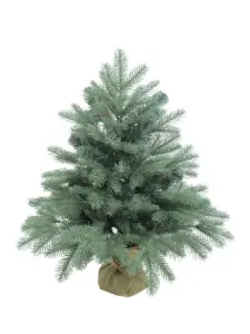 3fa9d6zgf30e37f20pr90pffuseiq1a4