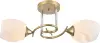 10551_2-GOLD_CR
