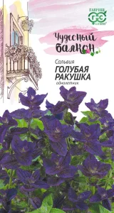 Сальвия Голубая ракушка 0,05грЧудесный балкон ГШцветы