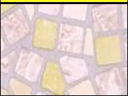 00169990