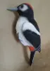 Снимок экрана_1-6-2026_13521_vashpalisad.ru