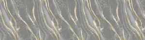 00250097