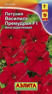 Петуния Василиса Премудрая F1 многоцветковая 10шт Аэлита цв.