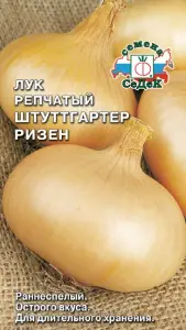 Лук репчатый Штуттгартер Ризен  (Евро, 1; 7169) СеДеК