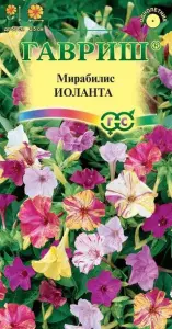 Мирабилис Иоланта 1г ГШцветы