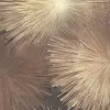 УА-00054782
