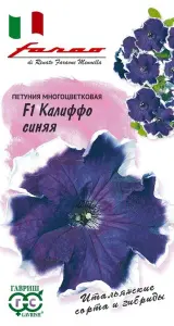 petuniya_kaliffo_sinyaya.jpg