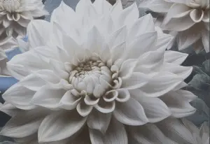 УА-00049513