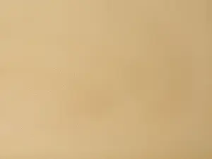 00252599