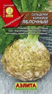 Сельдерей корневой Яблочный (2022; 24.01.21)