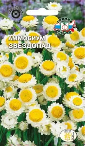 Аммобиум Звездопад (крылатый) (Евро, 0,2; 1918)  СеДеК