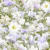 1572_image_big_3
