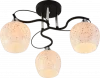 s9ednm8orgr4xy6b3v3mmbipmcfvgjio