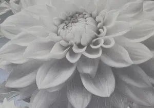 УА-00049512