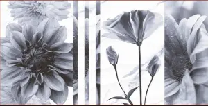 УА-00008330