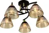 10634_5-BK_FGD-1