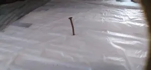 -5287670878651411627_121