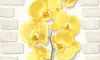 Обои виниловые Палитра Орхидея сер.-желт. цветок 0,5310м (12)10107-23^^