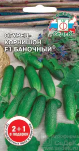00135152
