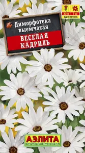 Диморфотека Веселая кадриль Аэлита цп