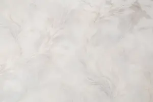 УА-00038647