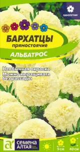 barhatcy-tagetes-albatros-semena-altaya