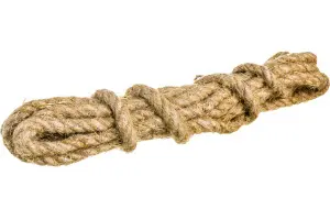 59551530