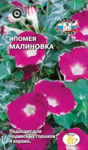 Ипомея Малиновка (вид нил, малиново-красная с белой каймой) (Евро, 0,25; 7746) СеДеК