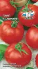 tomat-avrora-f1-sedek