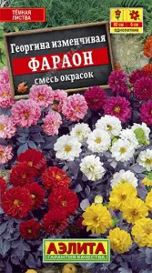 Георгина Фараон смесь 0,3гр Аэлита цв.