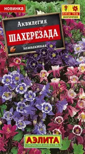 Аквилегия Шахерезада, смесь окрасок Аэлита цп