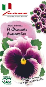 viola_flamenko_fioletovaya.jpg