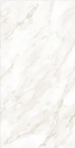 15804