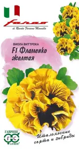 viola_flamenko_zheltaya.jpg