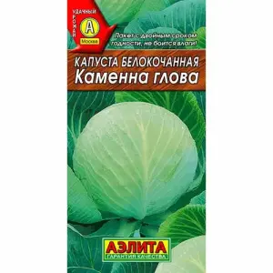 kapusta-belokochannaya-kamenna-glova-aelita_1