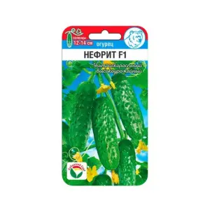 k0mn1k2qpfknkeno8thz8hxx7hfpgt73