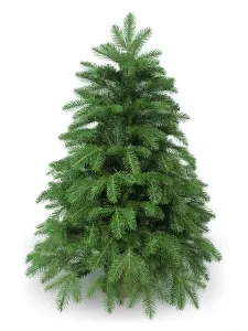 cj9puhmbxn56i91xgzz0z2f8sbw5sn0g