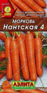 Морковь Нантская 4 2гр Аэлита цв.