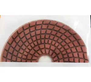 54135876