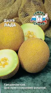 6401552881