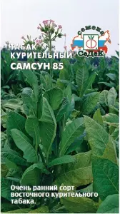 tabak_samsun_85_f1.jpg