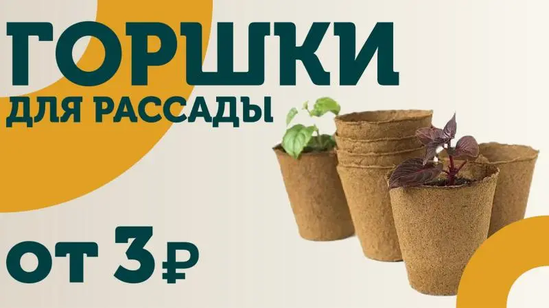Торфяные горшки - от 3 рублей.