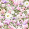 1572_image_big_2