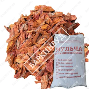 Снимок экрана 2025-05-29 104446